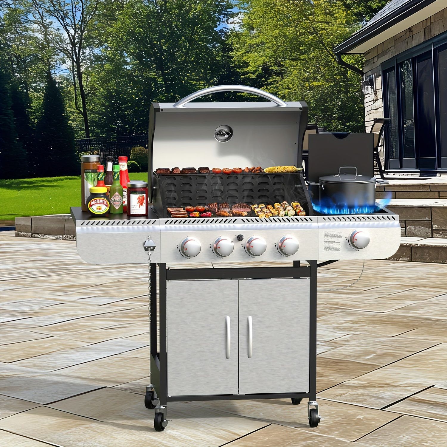 Compact 2 Burner Gas Grill for Backyard BBQ