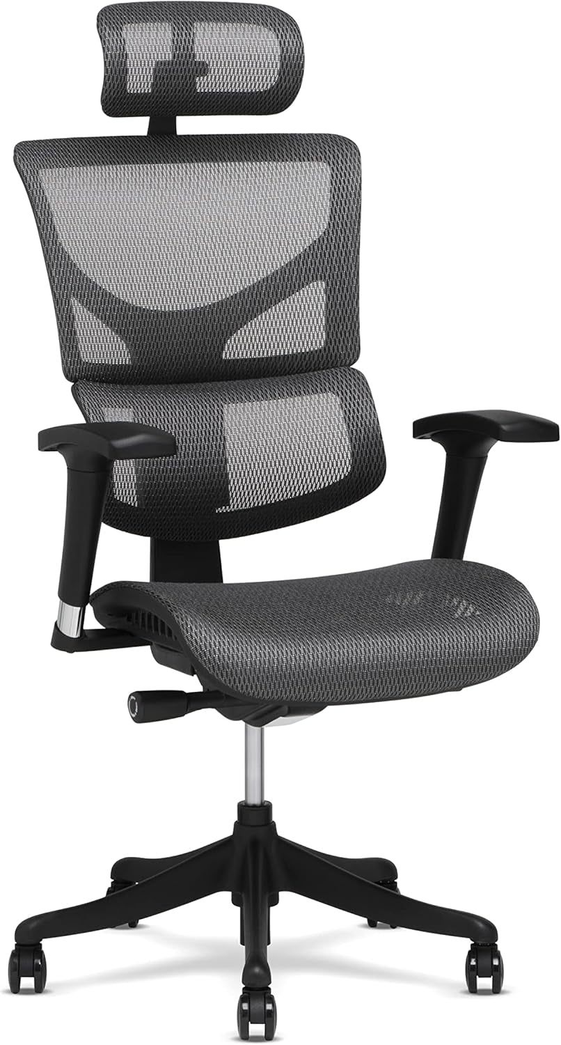 X1 High End Task Chair, Grey Flex Mesh with Headrest - Ergonomic Office Seat/Dynamic Variable Lumbar Support/Highly Adjustable/Relaxed Recline/Perfect for Office or Home Desk