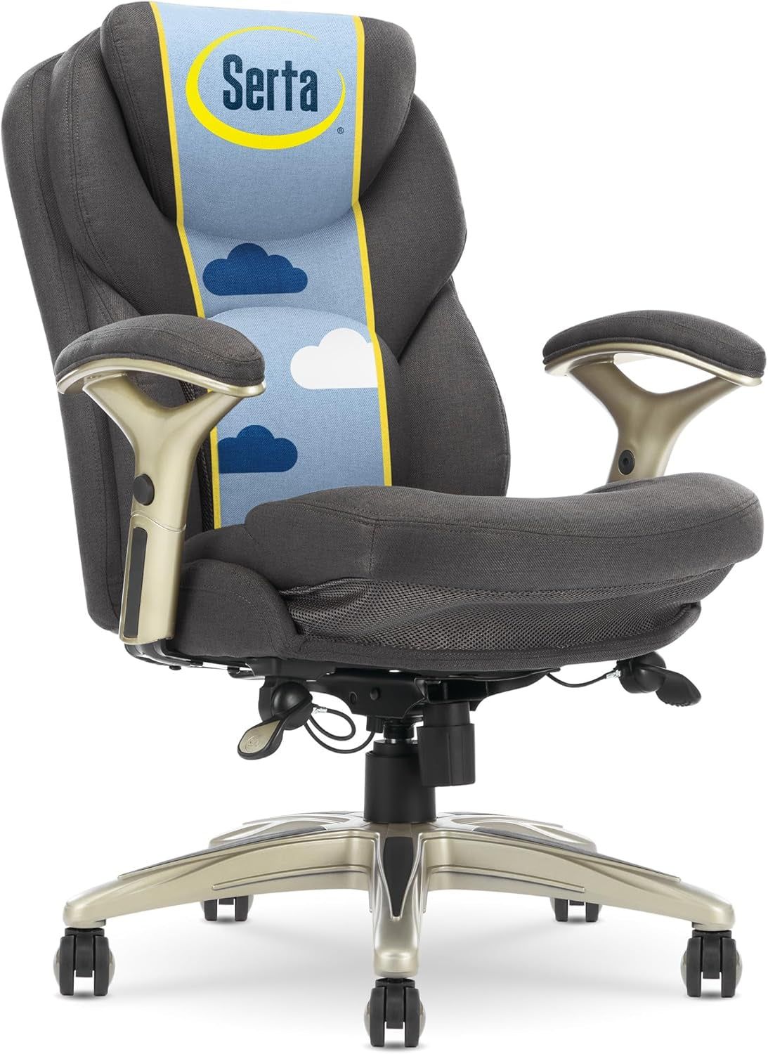 Claremont Ergonomic Executive Office Chair with Back in Motion Technology, Adjustable Mid Back Desk Chair with Lumbar Support, Fabric, Dark Gray