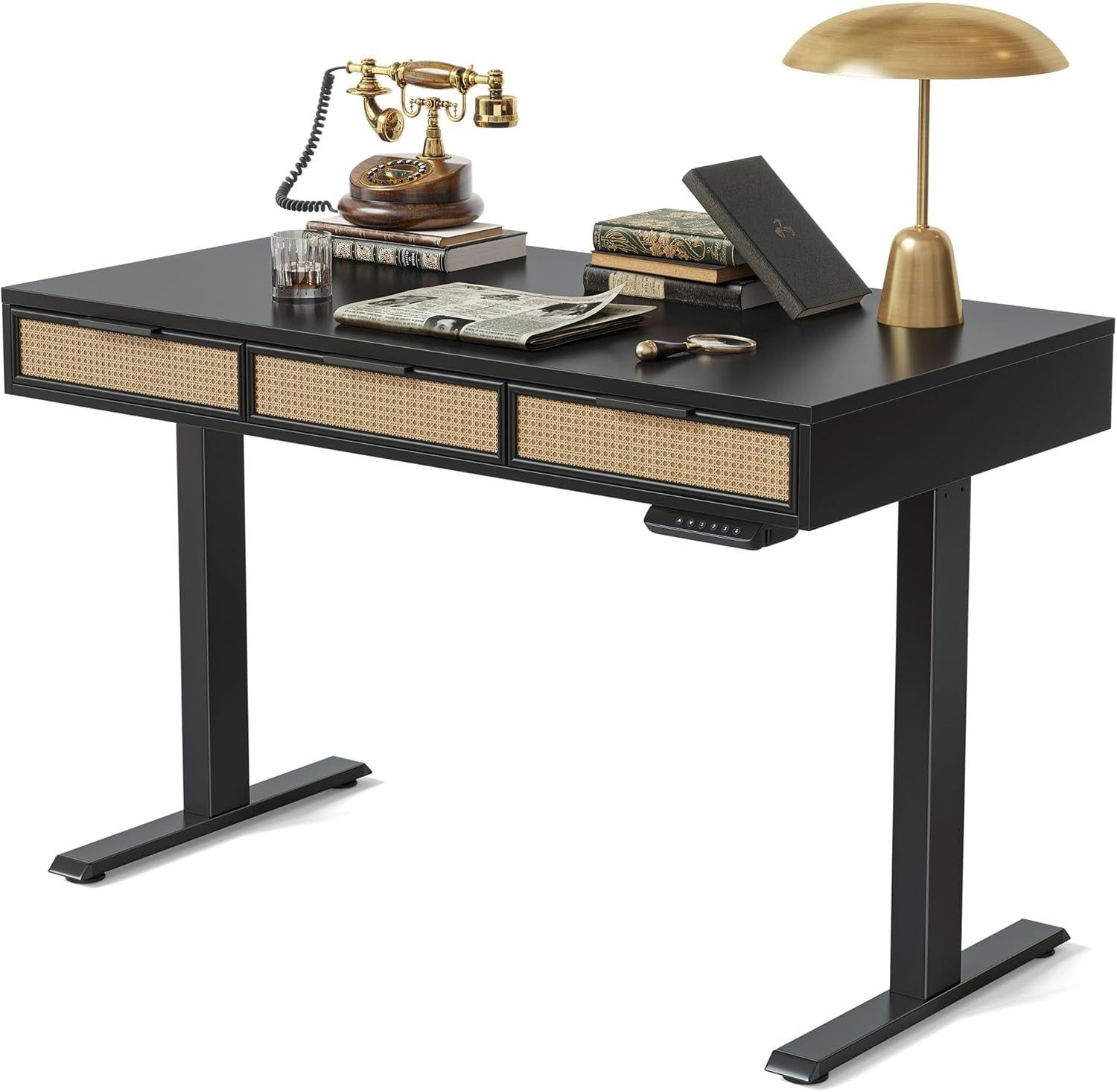 Boho Style Height Adjustable Electric Standing Desk Storage