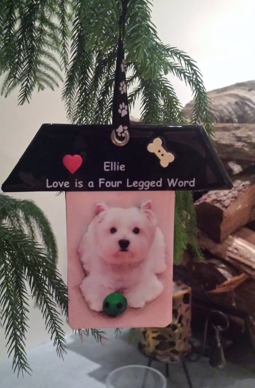 Personalized 3D Photo Ornament