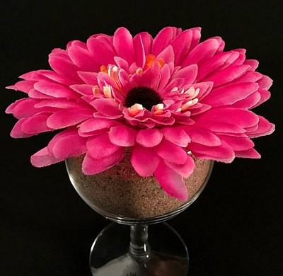 Gerbera-kukkapää, pinkki Gerbera-kukkapää, pinkki