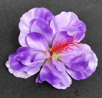 Hibiskus kestokukkapää, laventeli Hibiskus kestokukkapää, laventeli