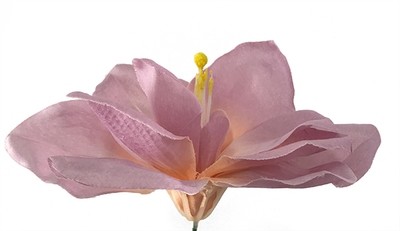 Amaryllis tekokukkapää, vaalea lila/mauve Amaryllis tekokukkapää, vaalea lila/mauve