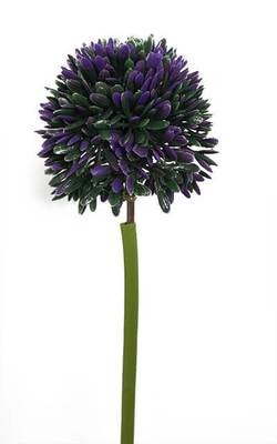 Sipulin tekokukka, violetti