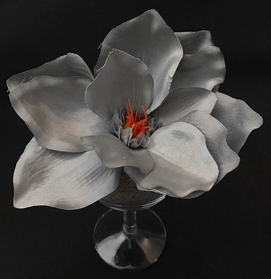 Magnolia tekokukkapää, harmaa