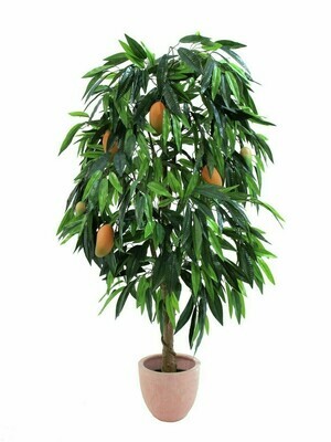 POISTOTUOTE: Mangopuu hedelmillä 165cm POISTOTUOTE: Mangopuu hedelmillä 165cm