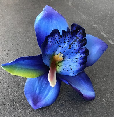 Orkidea tekokukkapää, sininen