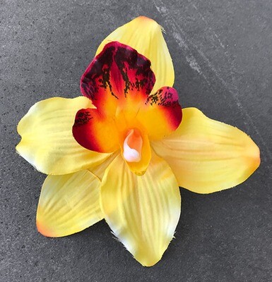 Orkidea tekokukkapää, keltainen