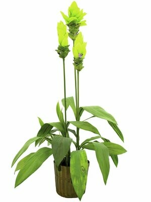 Inkivääri tekokasvi ruukussa 95cm Inkivääri tekokasvi ruukussa 95cm