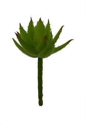 Aloe vera tekomehikasvi