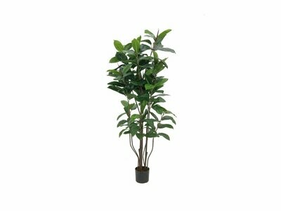 Parakautsupuu (kumipuu) tekokasvi 150cm Parakautsupuu (kumipuu) tekokasvi 150cm