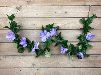 Inkaliljaköynnös, vaalea violetti Inkaliljaköynnös, vaalea violetti