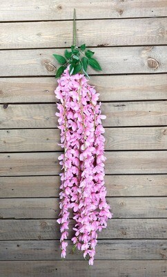 Orkidea teko-oksa, vaaleanpunainen