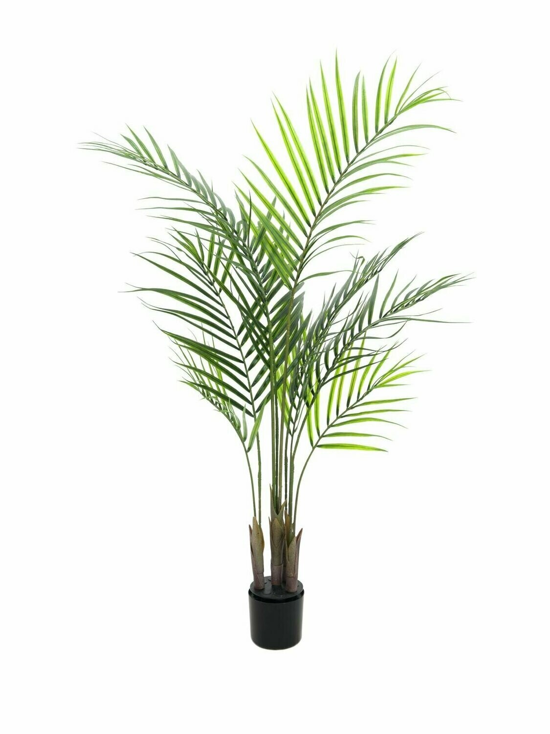 Tekokasvi Areca-palmu 125cm