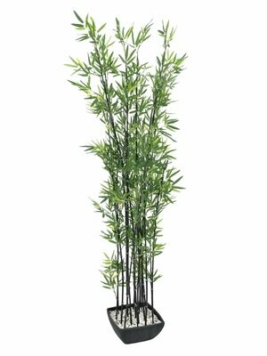 Bambu tekokasvi koristeruukussa 180cm Bambu tekokasvi koristeruukussa 180cm