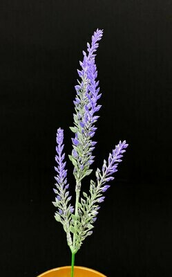 Kanerva teko-oksa, violetit kukinnot Kanerva teko-oksa, violetit kukinnot