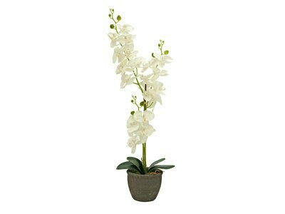 Orkidea tekokasvi ruukussa 80cm, kerma Orkidea tekokasvi ruukussa 80cm, kerma