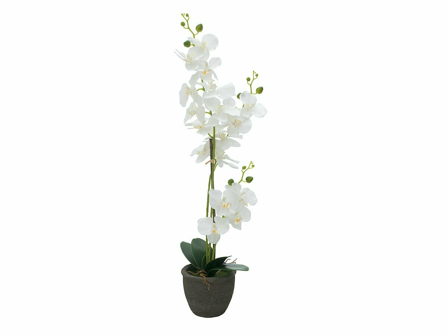 Valkoinen orkidea tekokasvi ruukussa 85cm