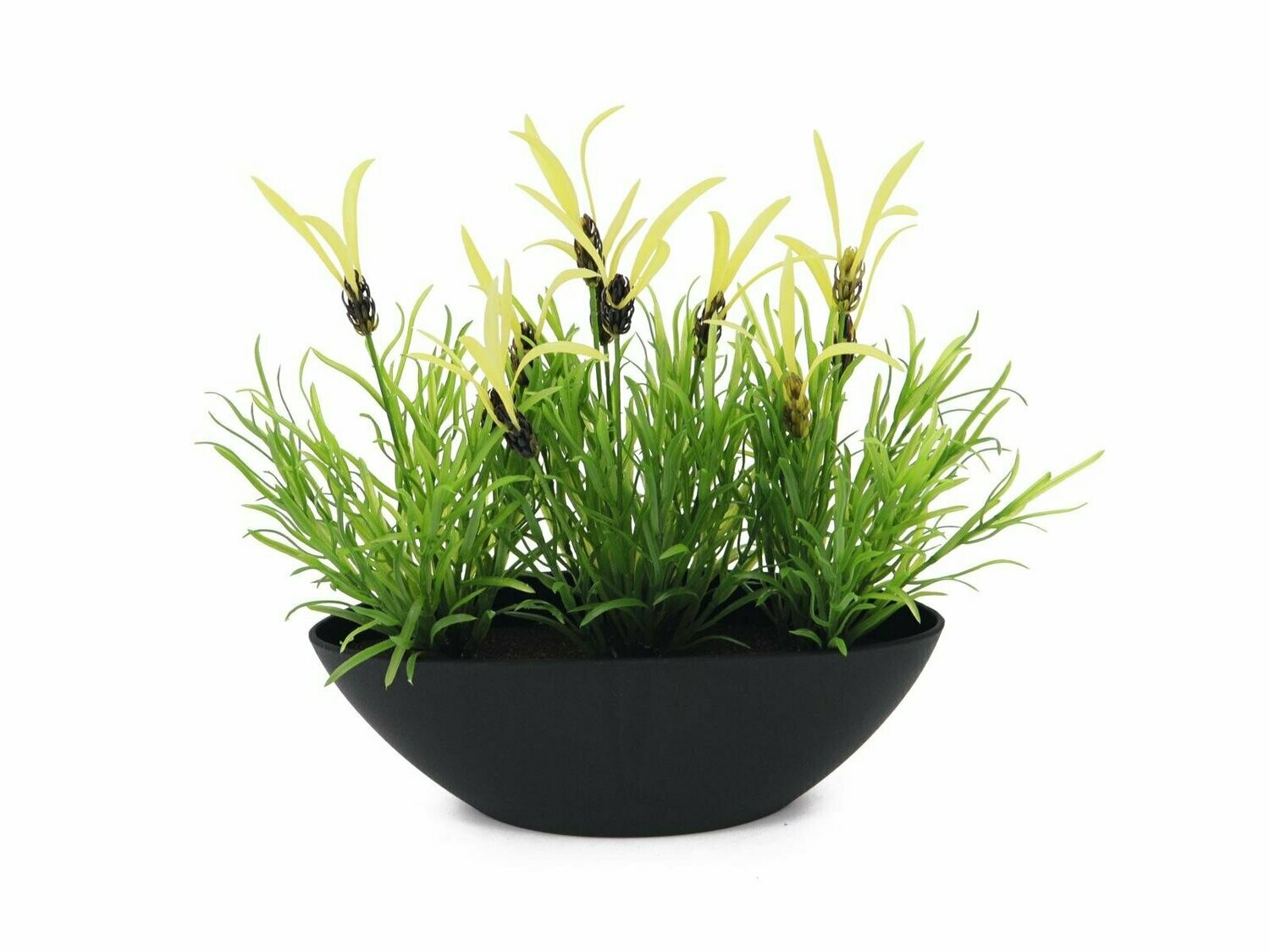 Koristeheinä ovaalissa ruukussa 25cm Koristeheinä ovaalissa ruukussa 25cm