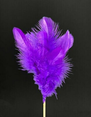 Höyhenkoriste, violetti Höyhenkoriste, violetti