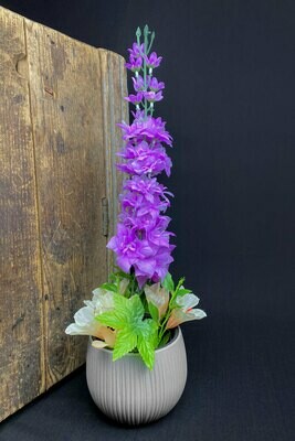 Ritarinkannus ruukussa, violetti Ritarinkannus ruukussa, violetti