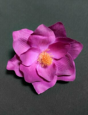 Magnolia tekokukkapää, lila