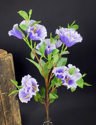 Petunia tekokukka, violetti Petunia tekokukka, violetti