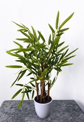 Bambu tekokasvi - 60cm ruukussa Bambu tekokasvi - 60cm ruukussa