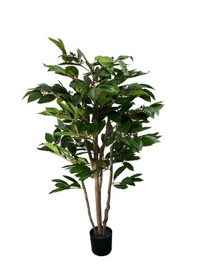 Kahvipensas tekokasvi - 130cm Kahvipensas tekokasvi - 130cm