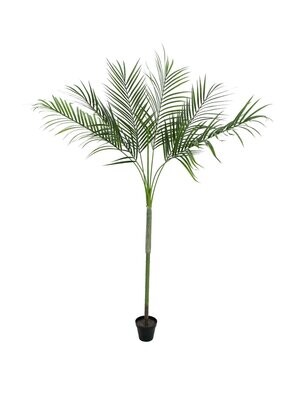 Tekokasvi areca-palmu 180cm