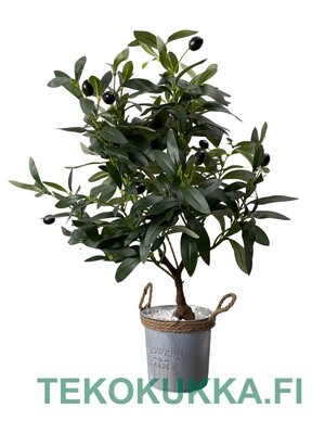 Oliivi tekokasvi pöydälle - 50cm Oliivi tekokasvi pöydälle - 50cm