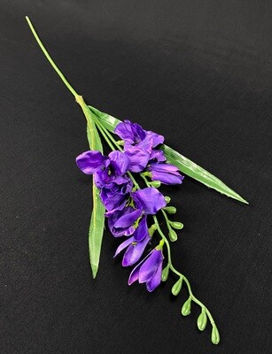 Freesia tekokukka, violetti Freesia tekokukka, violetti