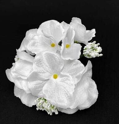 Hortensia tekokukkapää, valkoinen