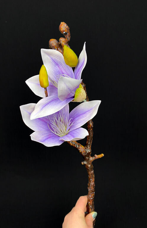 Magnolia kestokukka, violetti