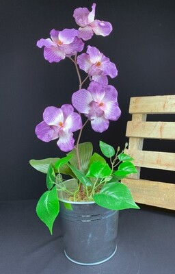 Violetti orkidea tekokukka sinkkiruukussa Violetti orkidea tekokukka sinkkiruukussa