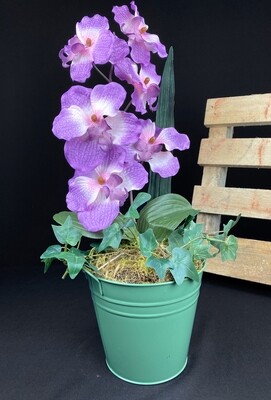 Violetti orkidea tekokukka vihreässä sinkkiruukussa