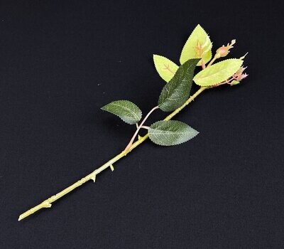 POISTOTUOTE: ruusun tekovarsi
