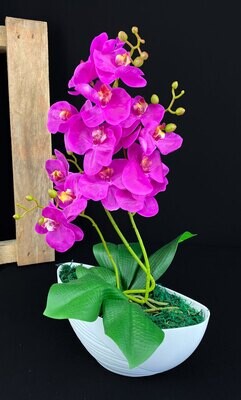 Orkidea tekokukka ruukussa, purppuravioletti
