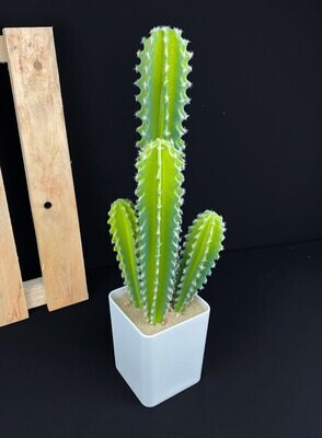 Kaktus tekokasvi ruukussa 54cm