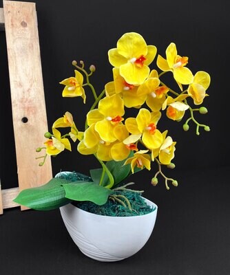 Orkidea tekokukka ruukussa, keltainen