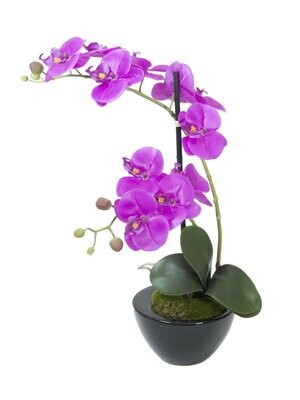 Orkidea tekokasvi ruukussa 45cm