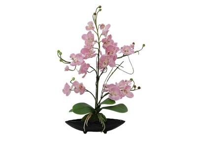 Orkidea tekokasvi ruukussa 60cm