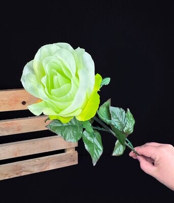 Ruusu tekokukka, vaaleanvihreä