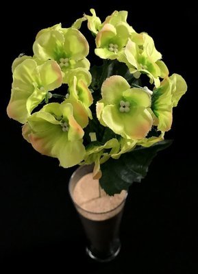 Hortensia silkkikukka vihreä Hortensia silkkikukka vihreä