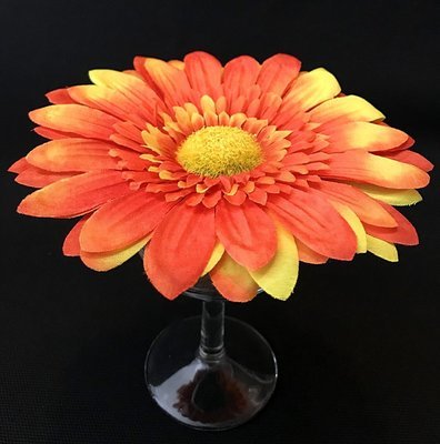 Gerbera-kukkapää, oranssi Gerbera-kukkapää, oranssi