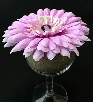 Gerbera-kukkapää, vaalea violetti Gerbera-kukkapää, vaalea violetti