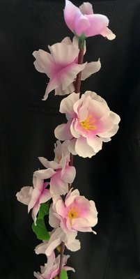 Omenankukka, vaalea violetti Omenankukka, vaalea violetti