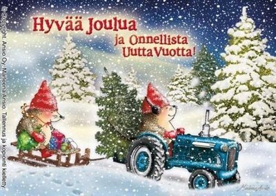 Kortti Marleena Ansio: siilit kuusenhaussa Kortti Marleena Ansio: siilit kuusenhaussa