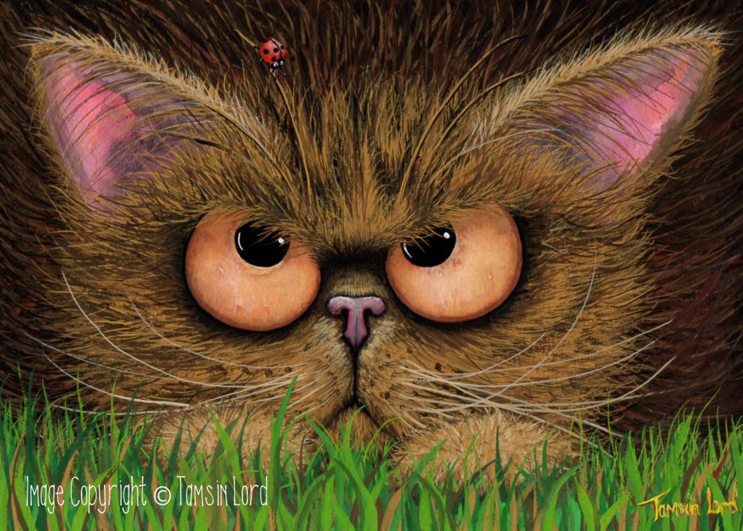 Original Painting: 'Eyebrow Tightrope!'